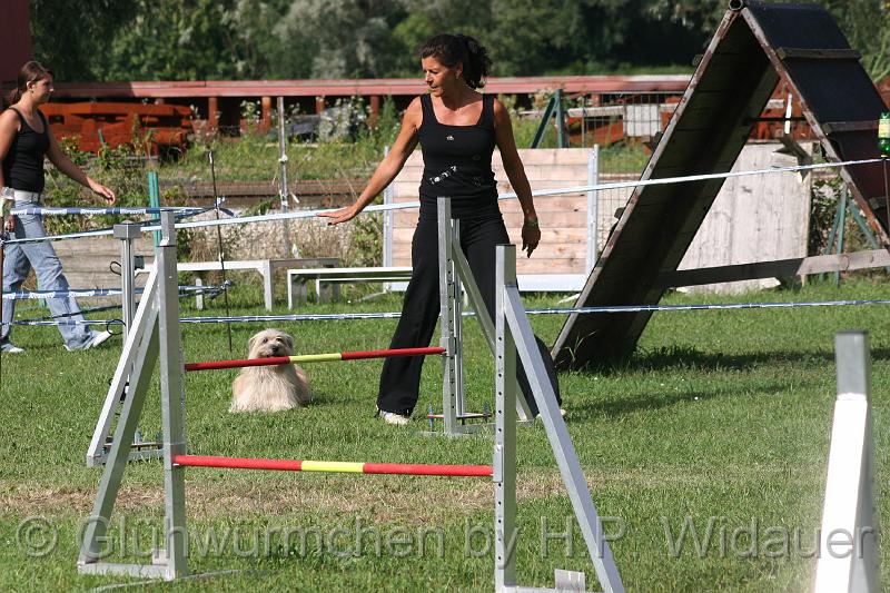 gluehwuermchen08 094 (55).jpg